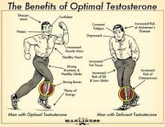 Things You Need to Know about Cordyceps the Best Testosterone Booster